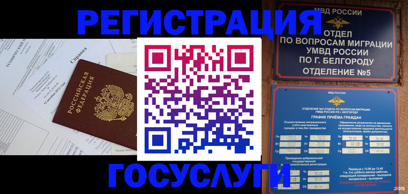 временная прописка в Мурманской области